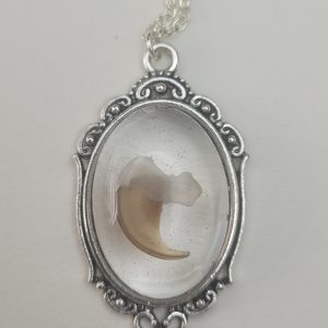 ketting met kattennagel en kootje