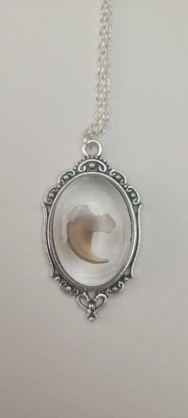 ketting met kattennagel en kootje